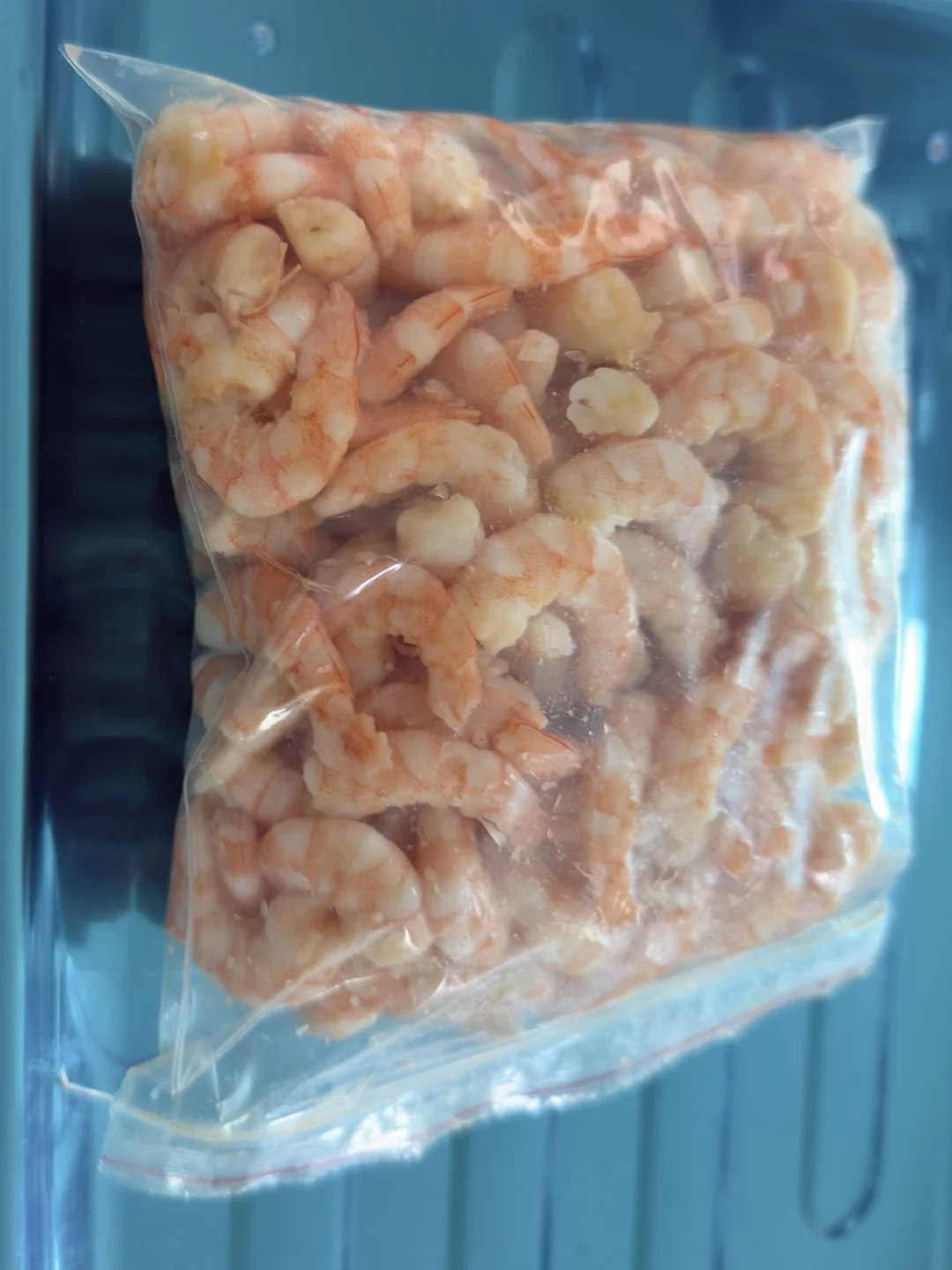 Camarón criollo — Lote 2